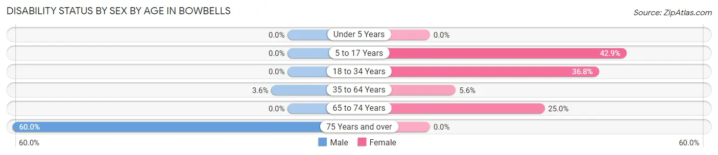 Disability Status by Sex by Age in Bowbells