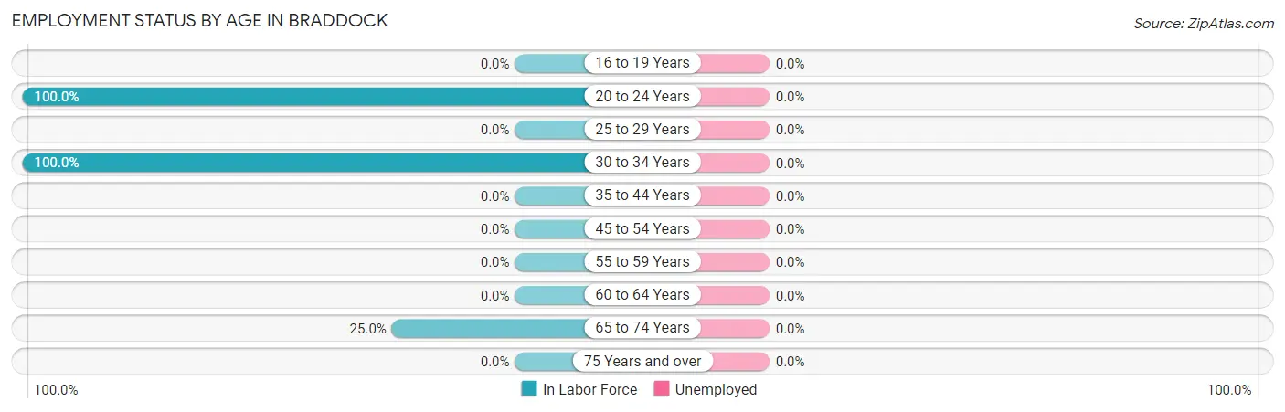 Employment Status by Age in Braddock