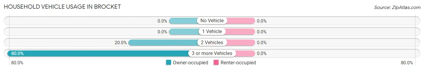 Household Vehicle Usage in Brocket
