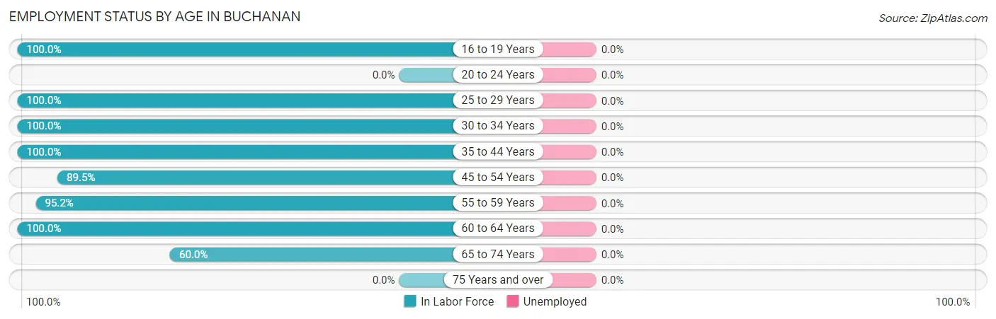 Employment Status by Age in Buchanan
