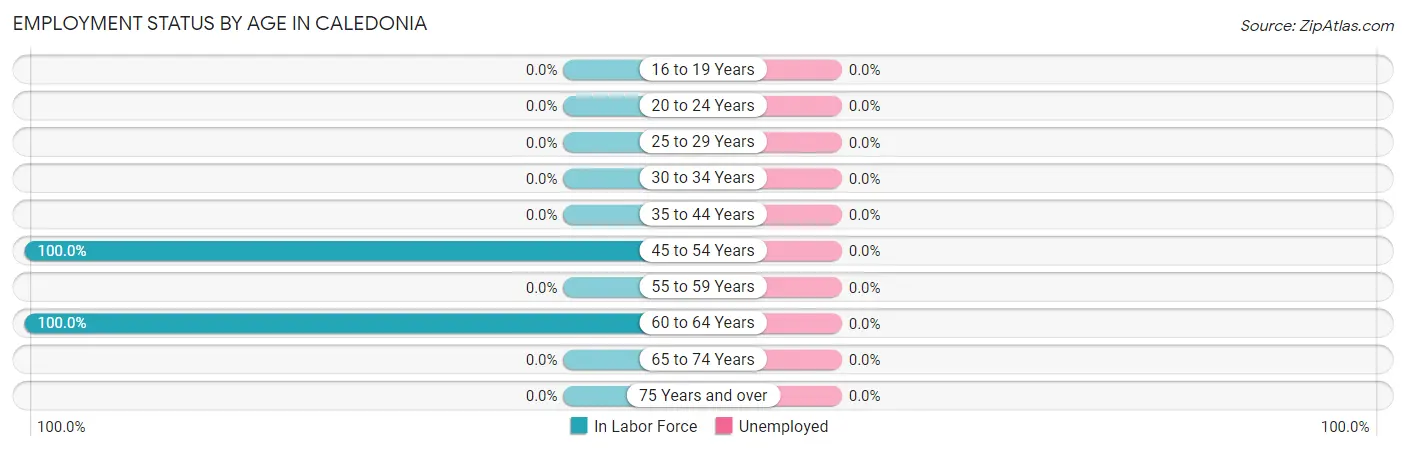 Employment Status by Age in Caledonia