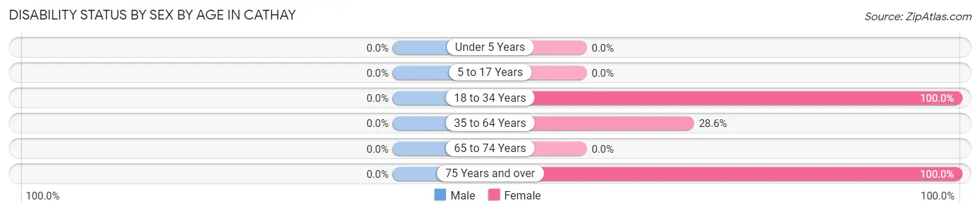 Disability Status by Sex by Age in Cathay