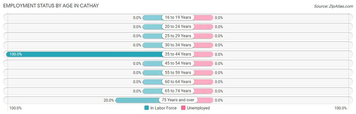 Employment Status by Age in Cathay