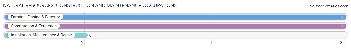 Natural Resources, Construction and Maintenance Occupations in Dazey