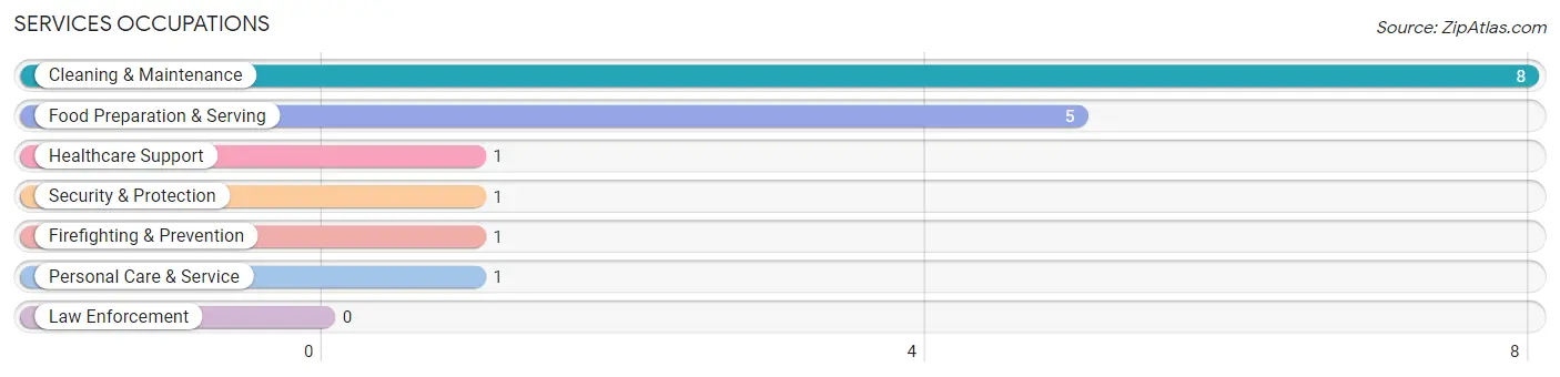 Services Occupations in Edmore