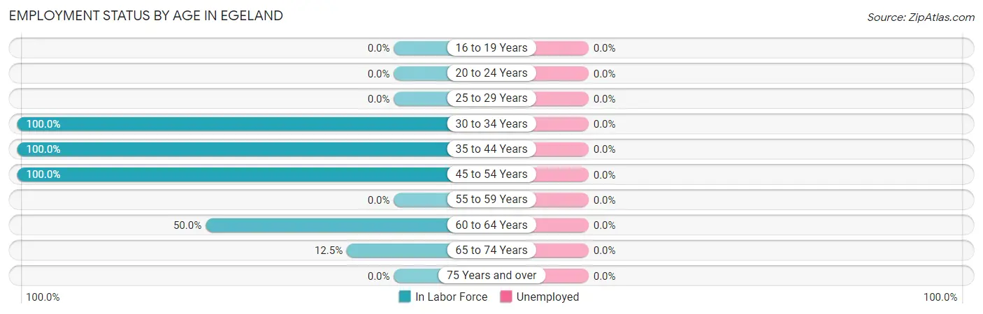Employment Status by Age in Egeland