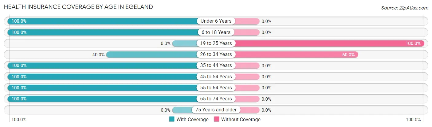 Health Insurance Coverage by Age in Egeland