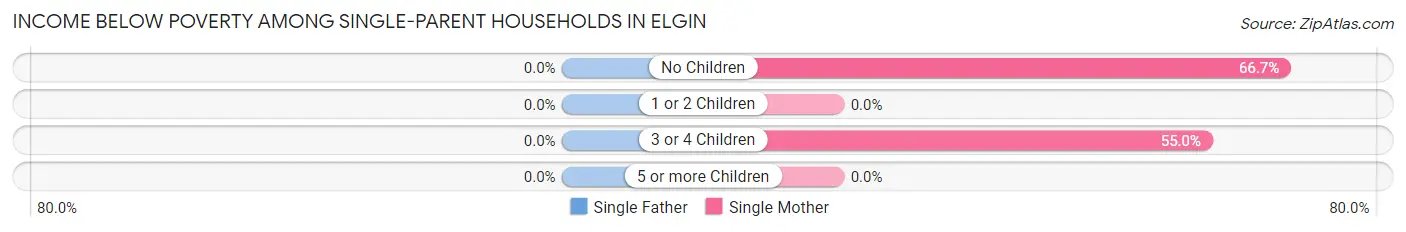 Income Below Poverty Among Single-Parent Households in Elgin