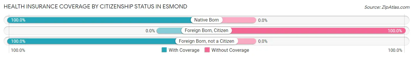 Health Insurance Coverage by Citizenship Status in Esmond