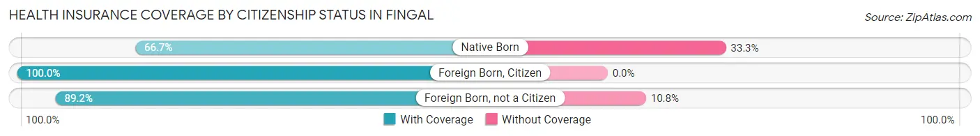 Health Insurance Coverage by Citizenship Status in Fingal