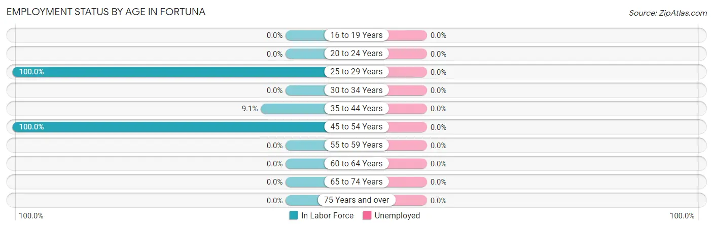 Employment Status by Age in Fortuna
