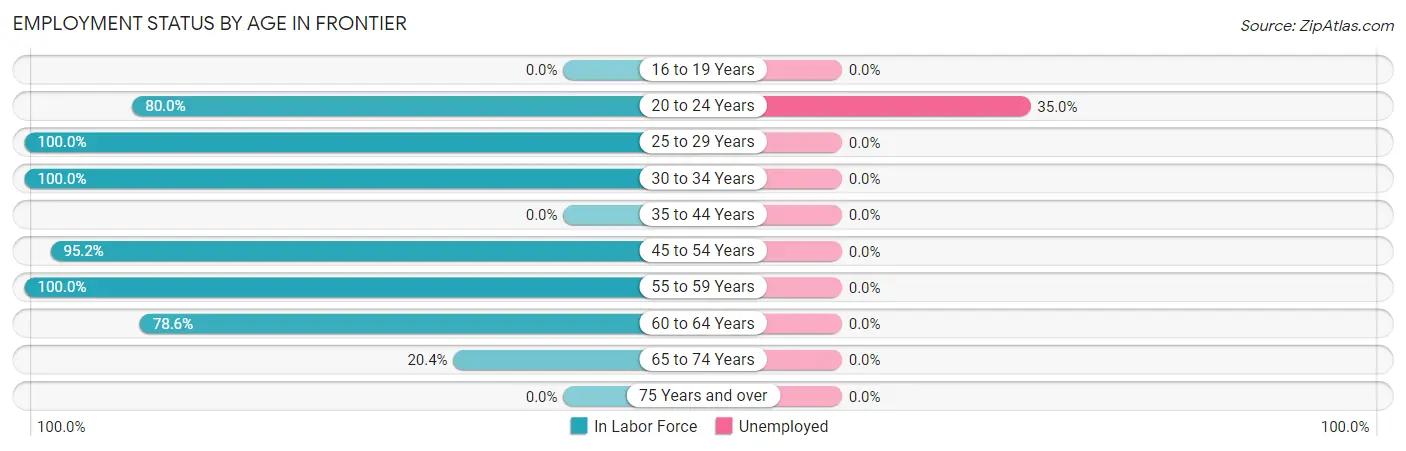 Employment Status by Age in Frontier