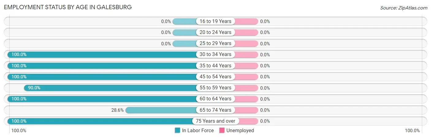 Employment Status by Age in Galesburg