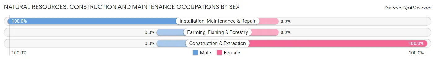 Natural Resources, Construction and Maintenance Occupations by Sex in Galesburg
