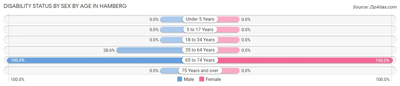 Disability Status by Sex by Age in Hamberg