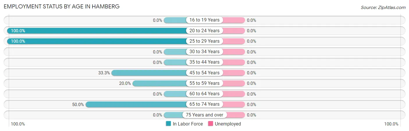 Employment Status by Age in Hamberg