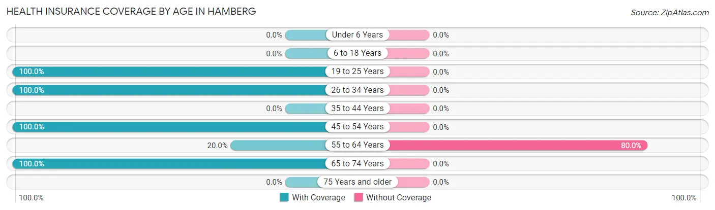 Health Insurance Coverage by Age in Hamberg