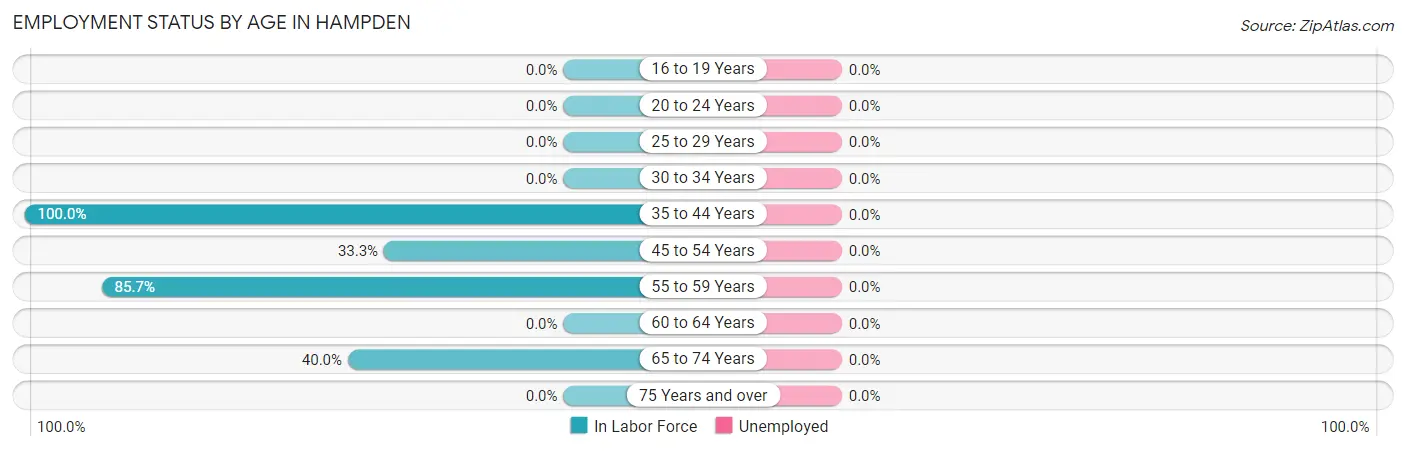 Employment Status by Age in Hampden