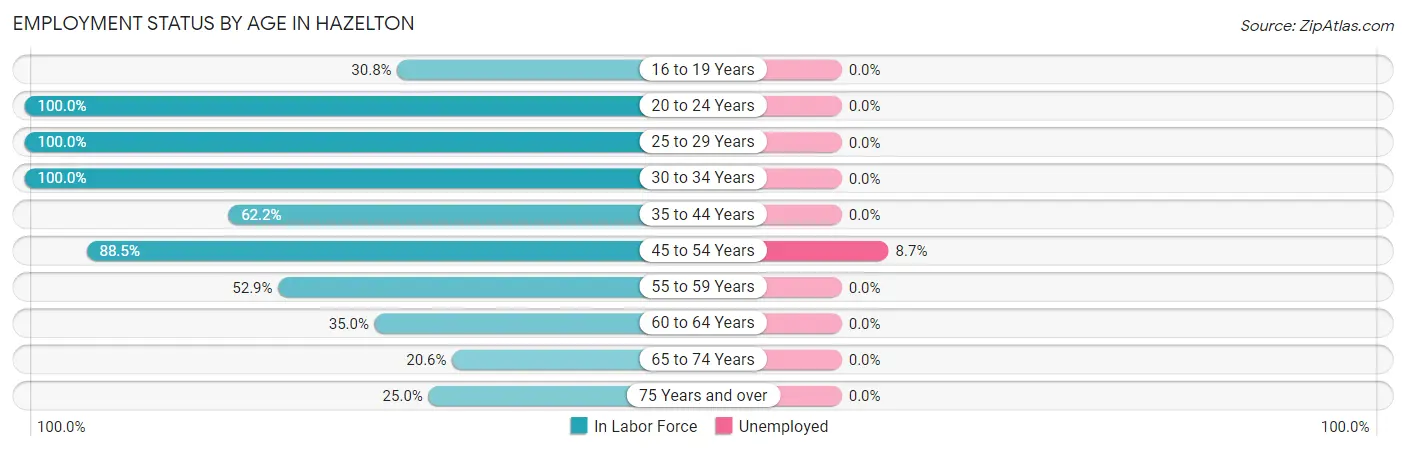 Employment Status by Age in Hazelton