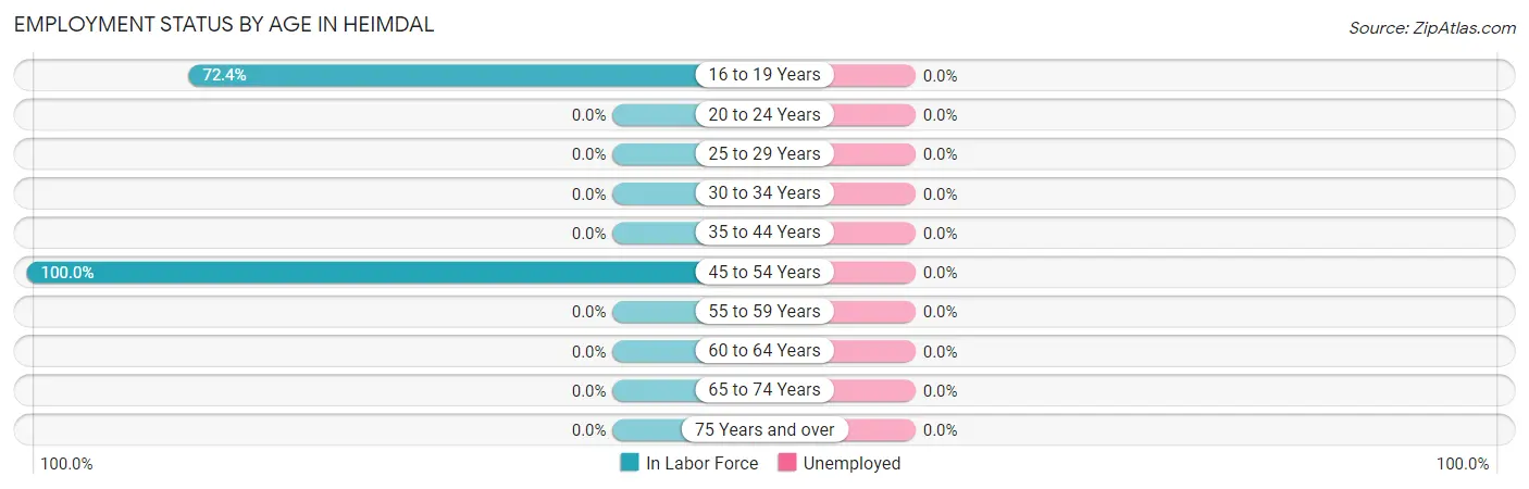 Employment Status by Age in Heimdal