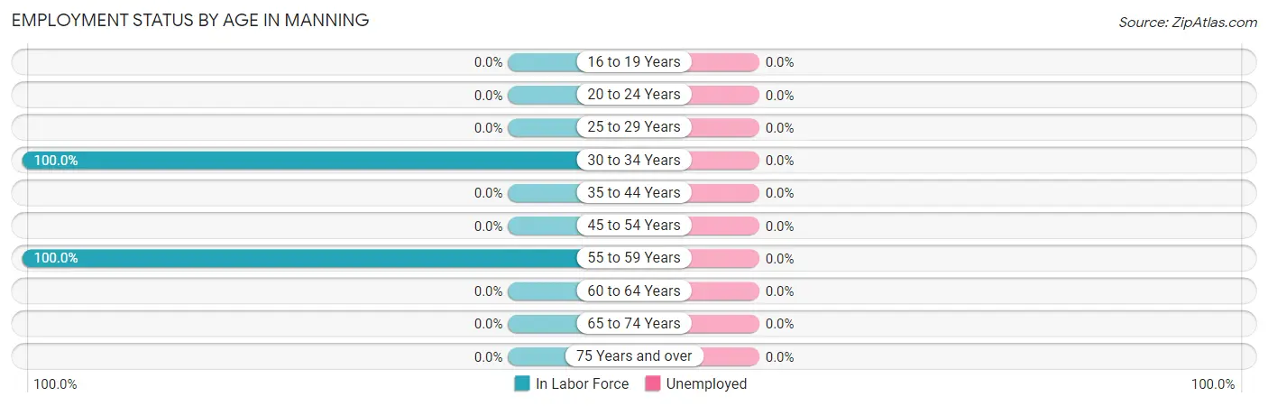 Employment Status by Age in Manning
