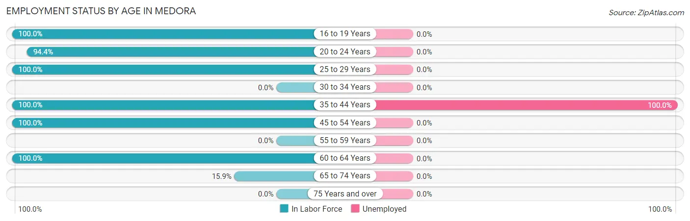 Employment Status by Age in Medora