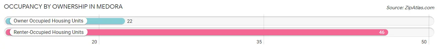 Occupancy by Ownership in Medora
