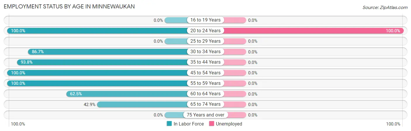 Employment Status by Age in Minnewaukan