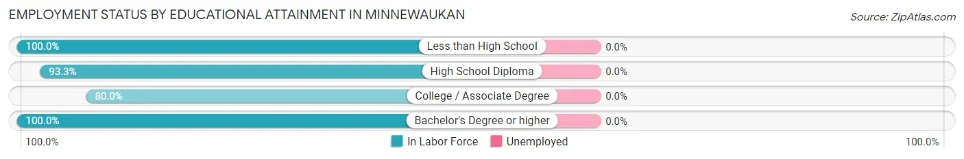 Employment Status by Educational Attainment in Minnewaukan