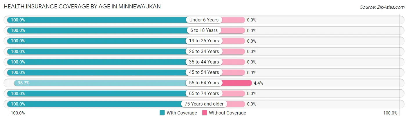 Health Insurance Coverage by Age in Minnewaukan