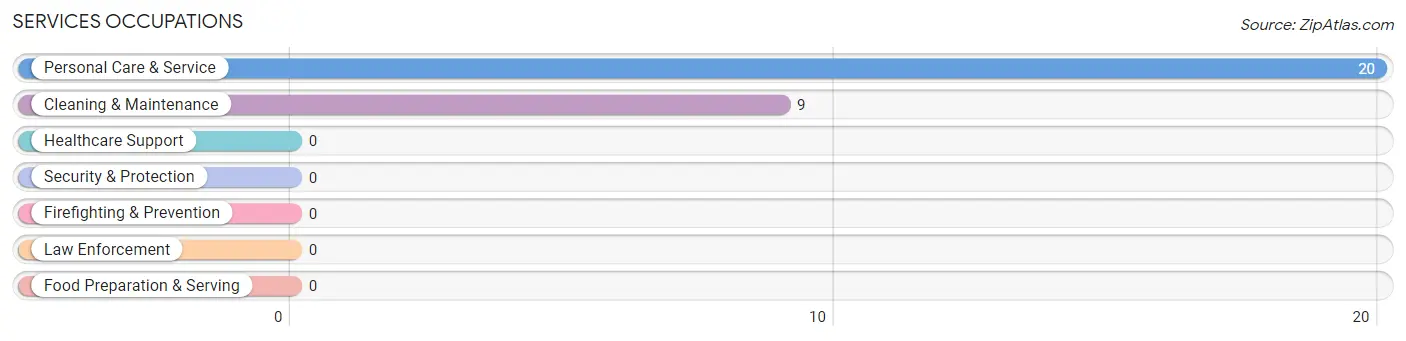 Services Occupations in Minnewaukan