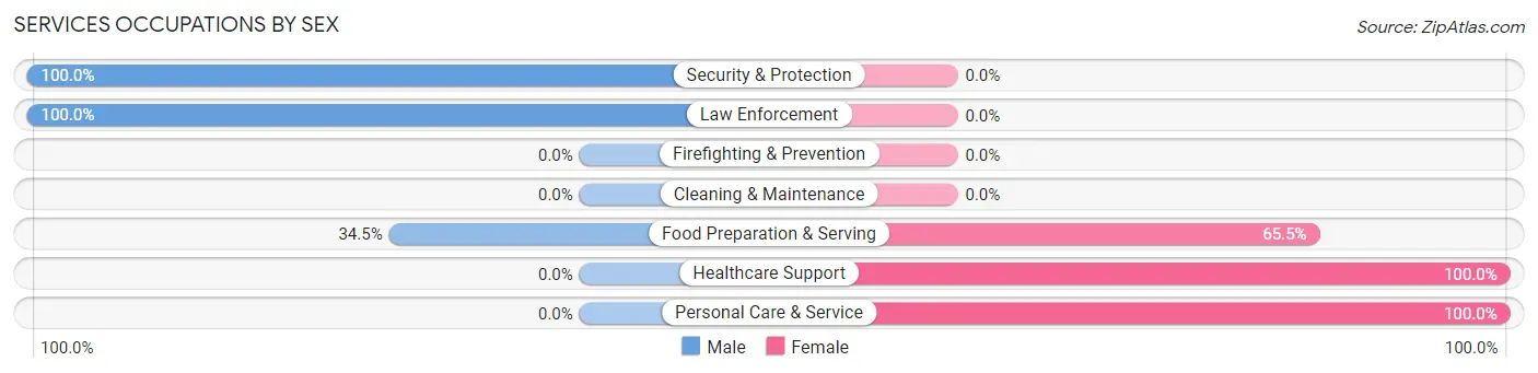 Services Occupations by Sex in Mott