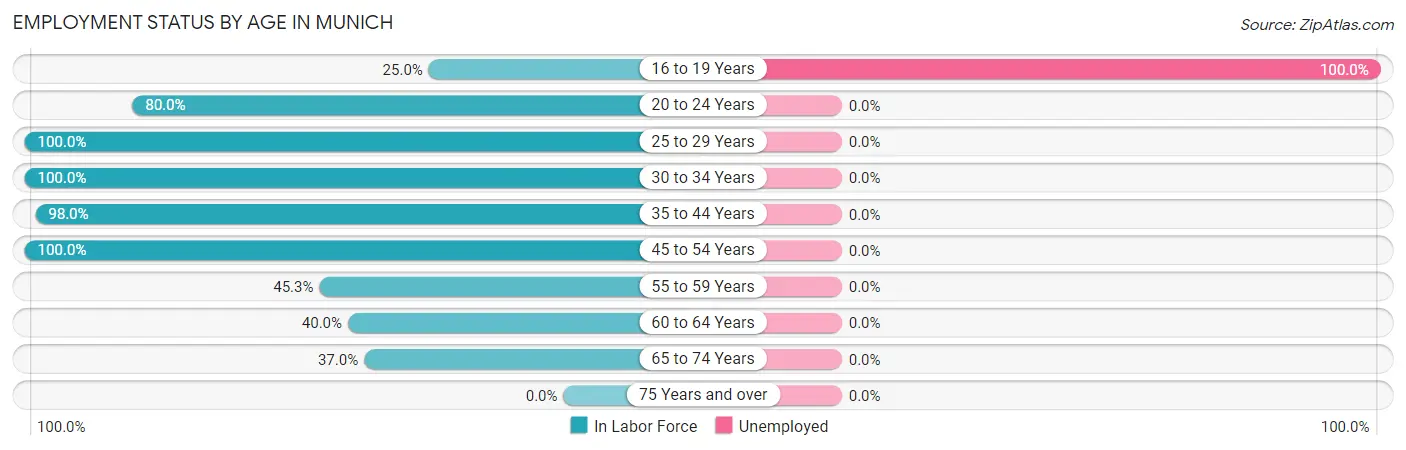 Employment Status by Age in Munich