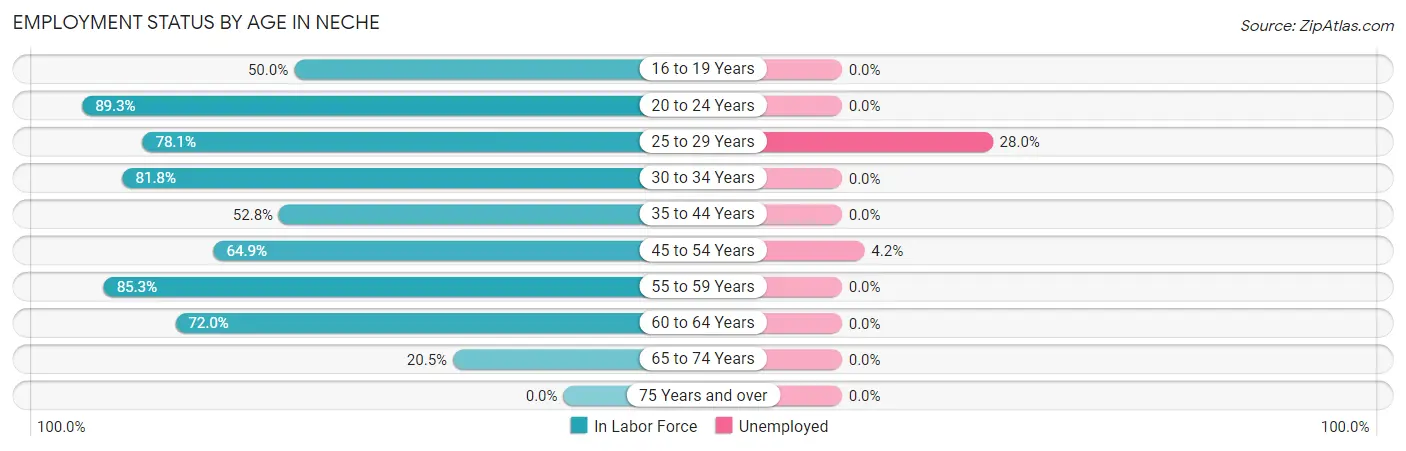 Employment Status by Age in Neche
