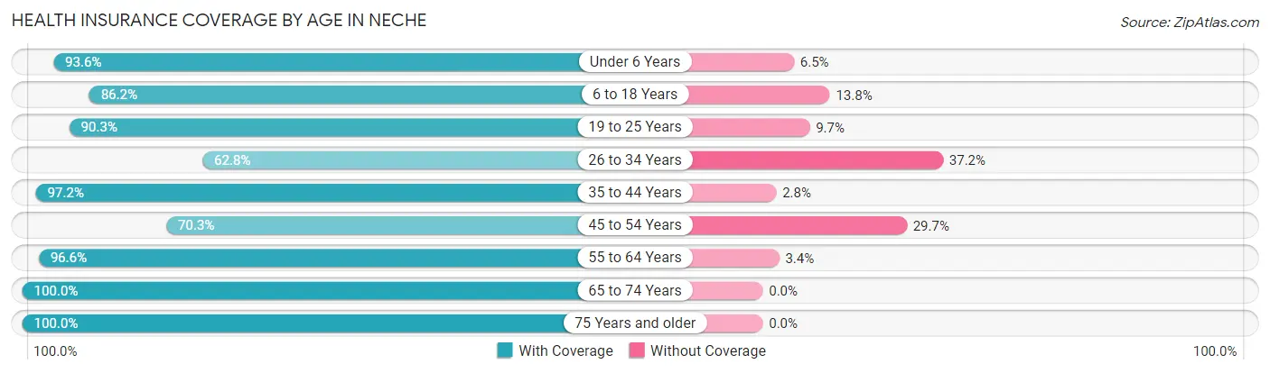 Health Insurance Coverage by Age in Neche