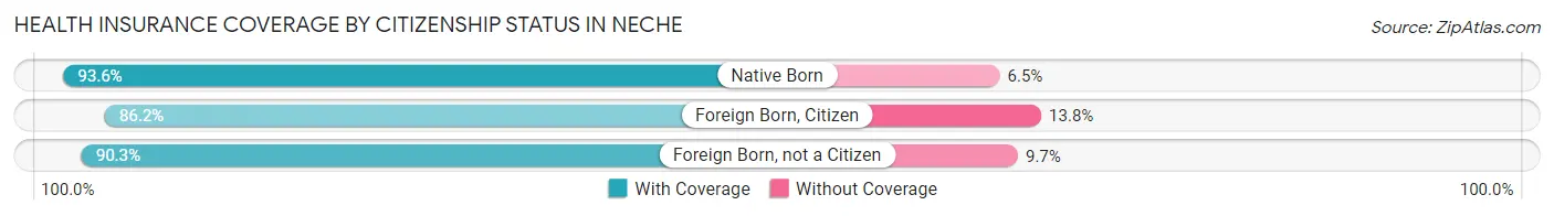 Health Insurance Coverage by Citizenship Status in Neche