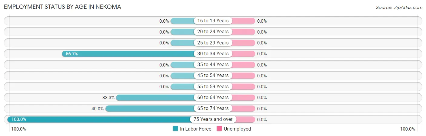 Employment Status by Age in Nekoma