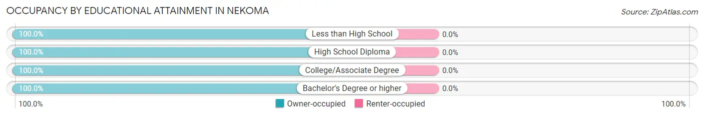 Occupancy by Educational Attainment in Nekoma