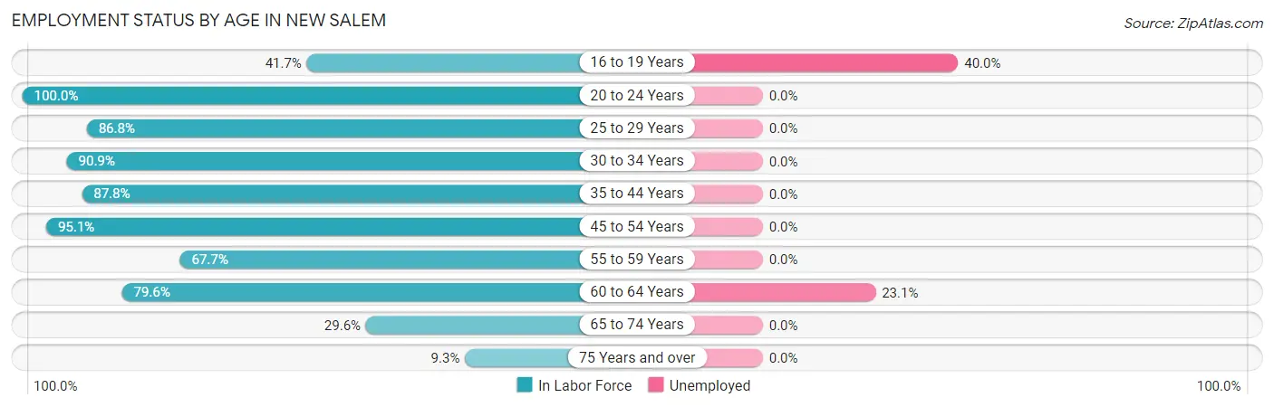 Employment Status by Age in New Salem