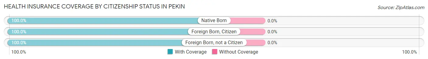 Health Insurance Coverage by Citizenship Status in Pekin