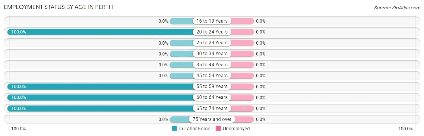 Employment Status by Age in Perth