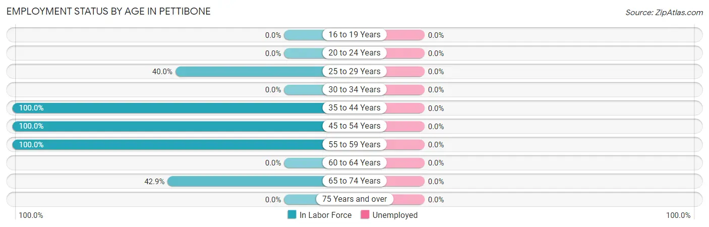 Employment Status by Age in Pettibone