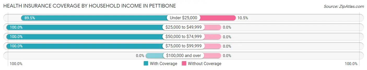 Health Insurance Coverage by Household Income in Pettibone