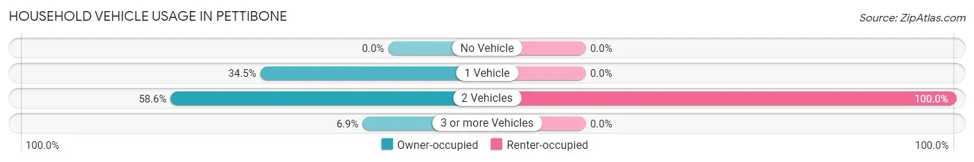 Household Vehicle Usage in Pettibone