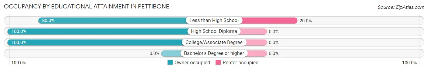 Occupancy by Educational Attainment in Pettibone
