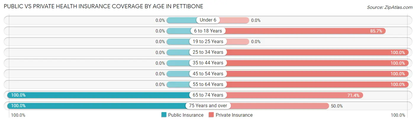 Public vs Private Health Insurance Coverage by Age in Pettibone
