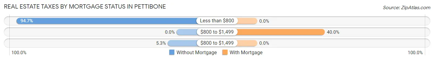 Real Estate Taxes by Mortgage Status in Pettibone