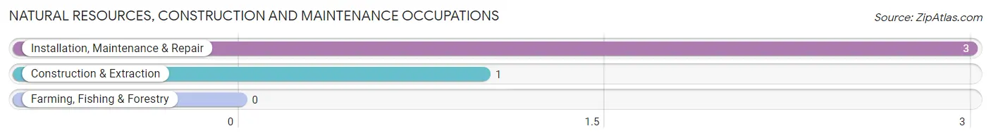 Natural Resources, Construction and Maintenance Occupations in Pingree