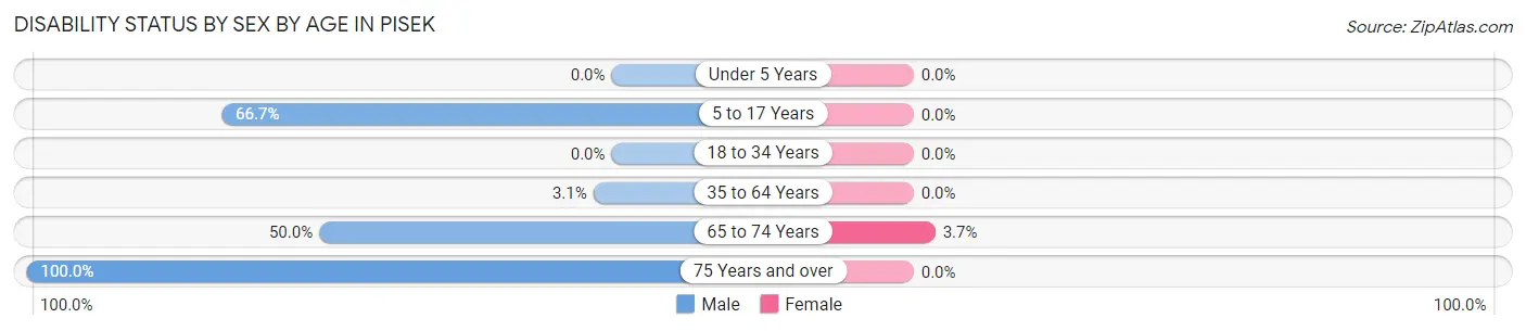Disability Status by Sex by Age in Pisek