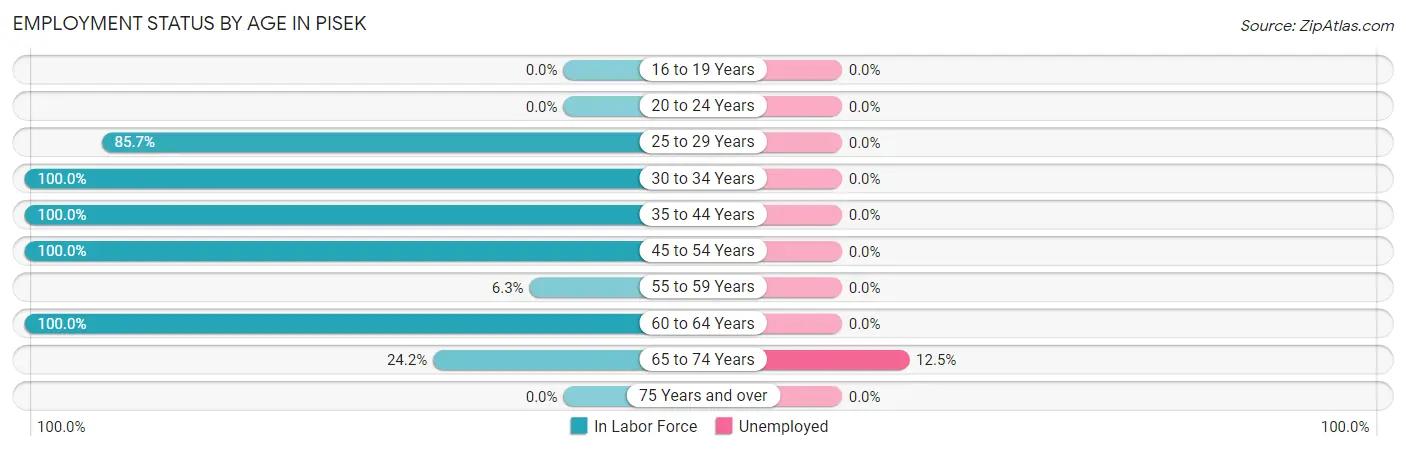 Employment Status by Age in Pisek